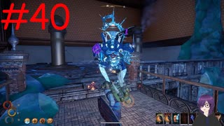 【実況】常に死と隣り合わせの過酷な世界を生き抜く【Outward Definitive Edition】part40