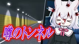 トンネルの幽霊【音だけ車載祭】
