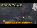 モンハンワイルズ　護闢獣の鋭牙の入手場所は？　武器・防具素材集め入手方法　＃４９９　【モンスターハンターワイルズ】