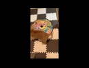 遊び方が違う！