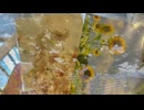 布引ハーブ園　から　うろこの家まで、アンケートで、ポストカード貰った