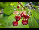 CHE.R.RY 90秒歌ってみた