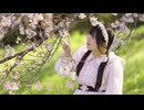 【桜の下で】春に一番近い街　踊ってみた【おとみ】