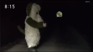 オーズop
