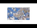 桜抄 / ナースロボ＿タイプＴ