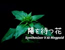 GUMI - 陽を待つ花