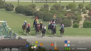2025 中山グランドジャンプ(J･GⅠ)　エコロデュエル