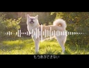 もう息ができない/音街ウナSV【オリジナル】