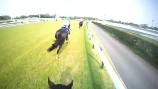 【ジョッキーカメラ】インプレス騎乗の小牧加矢太騎手ジョッキーカメラ映像｜2025年中山グランドジャンプ