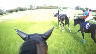 【ジョッキーカメラ】スマイルスルー騎乗の高田潤騎手ジョッキーカメラ映像｜2025年中山グランドジャンプ