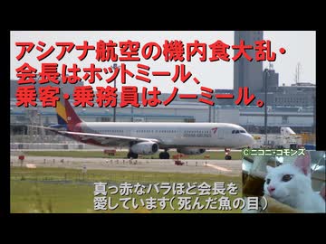 【客も乗務員もノーミール。でも会長はホットミール】迷航空会社列伝　アシアナ航空・落日編