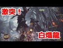 激突！白熾龍！【モンスターハンターワイルズ】＃40