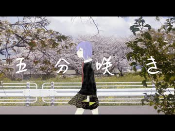 五分咲き / 初音ミク