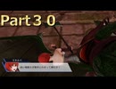 【ファイアーエムブレム無双】【リョナ】【ミネルバ】 ３０秒リョナPart３０
