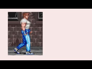 ファイナルファイティレーション