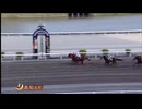 2025年4月19日高知競馬6R センチュリーＵＵ協賛 ぼくと恐竜特別(C2-6組) アルドーレ