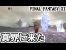 【FF11】ヴォイドウォッチ第２章へ！／真界ＢＦ「狂気の熾天使」に獣使いで挑戦してみる＿＿カッパのヴァナ・ディール生活