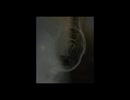 Dust