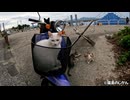 【衝撃】ライダーな島猫たち