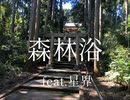 森林浴/渋川こよ視feat.星界