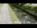 似曜日/白寝ねんね,デフォ子,唄仁クウゴウ,meda-25【オリジナル】