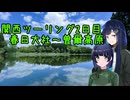 【京町セイカ車載】セイカさんと一緒にバイクで出掛けたい Part21 関西ツーリング2日目