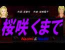 【Naomi＆Naoki】桜咲くまで【カバー曲】