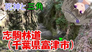 死神と三角　志駒林道