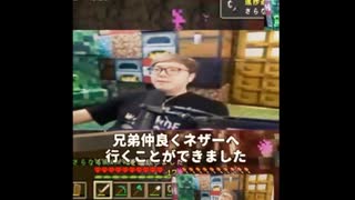 ぽんぽこ