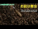 お前は害虫／You Are a Pest