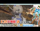 【実況】モンハンワイルズやる！【45】