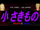 【Naomi＆Naoki】小さきもの【カバー曲】