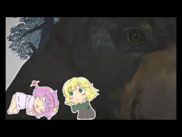 【ゆっくり実況】【The Long Dark】地底のおねーさんと反撃手段を手に入れて調子に乗った妖怪の末路