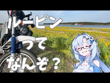 ルーピン畑へ【鹿児島県東串良町柏原海岸】