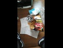 ピザポテトBIG②