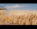 Man pours beer from a bottle into a glass