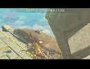 【ティアキン】２倍速再生で１２０ｆｐｓになるティアキン【ドリカラ】【ゼルダの伝説,ティアーズオブザキングダム,TotK,字幕実況,バグ,検証】
