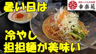 幸楽苑の冷やし担担麺で涼をとる【飯動画】