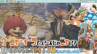 【実況】モンハンワイルズやる！【46】