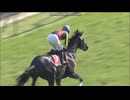 2012 青葉賞 (GII)　フェノーメノ
