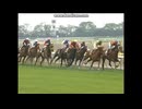 2006 青葉賞 (GII)　アドマイヤメイン