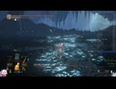 191.ダークソウル3_全ボスRTA_IGT2時間39分11秒_ヘビークロスボウ2/2