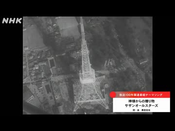 44903103.65753138.L