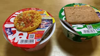 【Red raccoon】緑のきつねと赤いたぬき【Green fox】