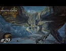 一緒に角質ケアしていきましょうね～【MHWilds実況#29】