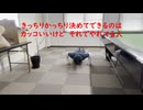 腕立て伏せ90回　40代になってやってよかったこと　Top２☆