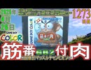 きょうのワンコンテニュー『筋肉番付GB2 〜目指せ!マッスルチャンピオン!〜』