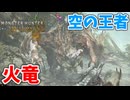 【モンスターハンターワイルズ】#25 ゲリョスとリオレウスを狩猟する!!
