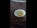 ポテチG5