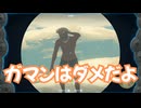ゼルダの伝説　ティアーズ オブ ザ キングダム　実況プレイPart351